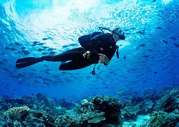 scuba diving